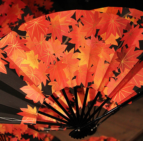 "Maple Leaves" Instalation of Folding fans