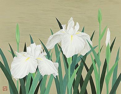 Irises